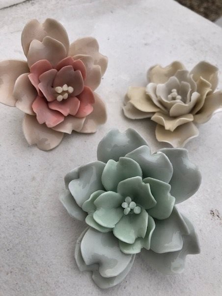 Porcelænsrose  i grøn